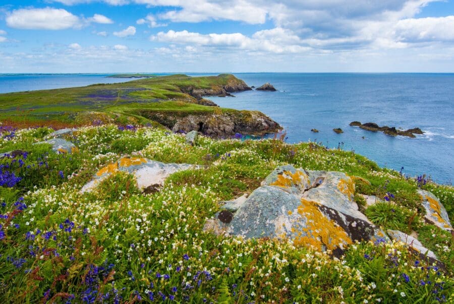 Tourism NI