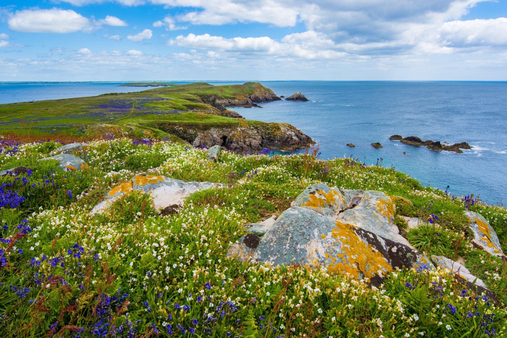 Tourism NI